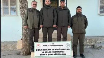 Siirt'te kaçak avlanan keklikler doğaya bırakıldı