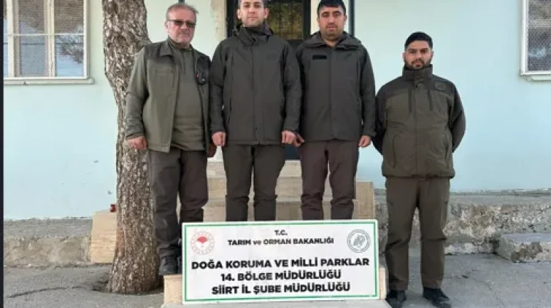 Siirt'te kaçak avlanan keklikler doğaya bırakıldı